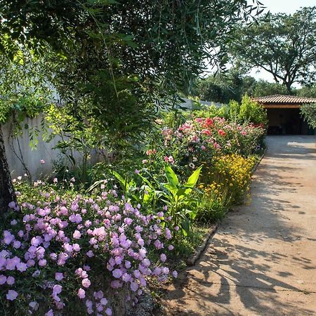 Girasole Villa Limni  Exterior photo